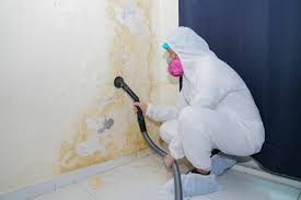 Wortham, TX Mold Prevention & Removal  Company